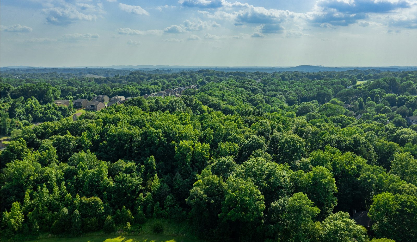 Aerial view of a small community nestled in a wide stretch of forest.